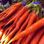 A photograph of carrots in a grocery store