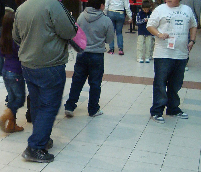 = A photograph of two obese males in a shopping mall. Their faces are not visible.
