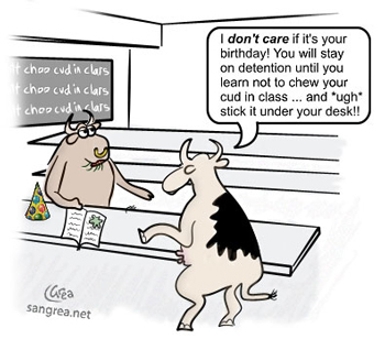 Cartoon of two cows—one is student and one is teacher. Teacher says “I don't care if it’s your birthday! You will stay on detention until you learn not to chew you cud in class . . . and *ugh* stick it under your desk.”