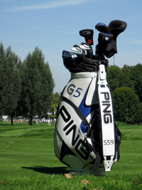 A photograph of a golf bag with a golf course in the background.