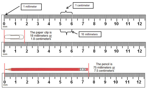 Reading A Metric Ruler Worksheet