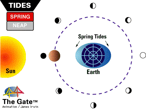 Astronomy - Ms. Ippolito's Science Page Astronomy - Ms. Ippolito's Science Page