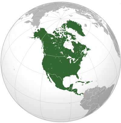 A special purpose map/globe featuring the continent of North America.