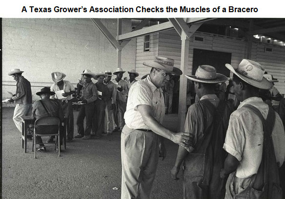 Image of a man feeling the muscles of a Bracero worker