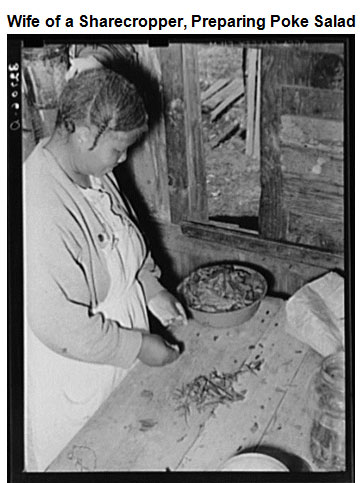 Image of a woman standing at a table pulling wild greens apart