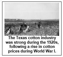 Image of people working in a cotton field