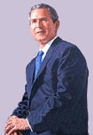 Portrait of George W. Bush, seated with hands resting on knees