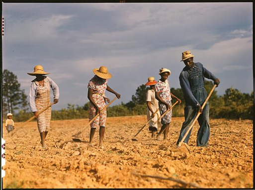 Image of a family tilling the soil. 