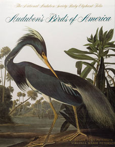 Image of the book cover of Birds of America