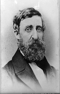 Portrait of Henry David Thoreau