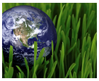 A blue picture of earth on a field of grass