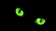 A pair of green eyes against a black background