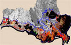 Image of a Satellite map of Louisiana Land Loss.