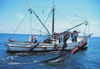 Image of a shrimping boat with nets in the water. There are several men on the boat.