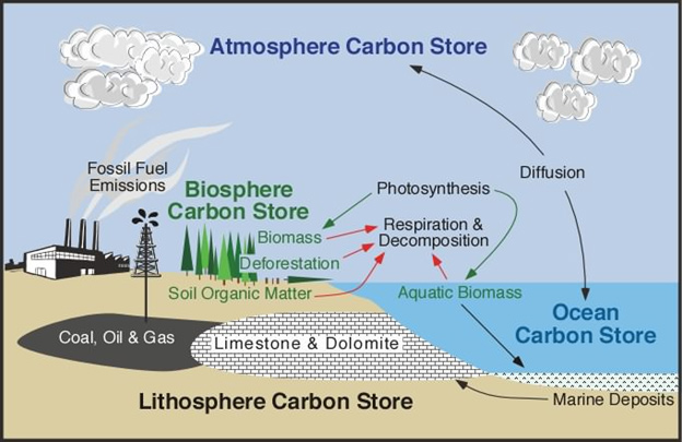 Image of the Atmosphere Carbon Store concept map.