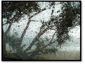 looking out of the car on a wet and miserable weekend