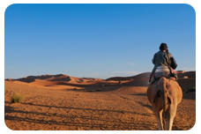 a man riding a camel in the desert in Morocco