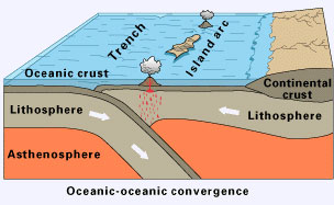 Image of the oceanic-continental convergence model that is the conveyor belt meeting and the oceanic crust on the left side is sinking . On the surface, there is a volcanic arc above the continental crust on the right side of the image. There is a depiction of volcanic eruption in this area.
