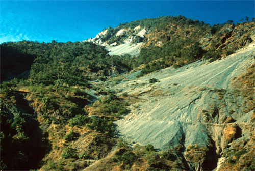 Image of the bottom of a mountain that is lined with trees at the bottom and a rock formation exists as it elevates and there are trees at the top.