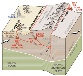 This is a graphic image of the San Andreas Fault Zone. It illustrates that the fault zone is adjacent to the San Gabriel Mountains to the west; the Mojave Desert sits to the east; farther west is the city of Los Angeles. The San Andreas Fault sits on the North American Plate, but it is close to the Pacific Plate. The arrows on the illustration indicate that the plates move in different directions.