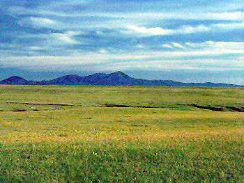 Image of a large grassy area with mountains in the background.