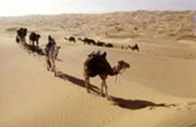 Image of a desert scene, there is a caravan of camels in the forefront and a mountain range in the background.