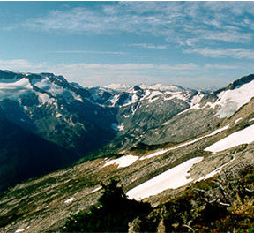 Image of a mountain top, partially covered by snow with sparse trees. 