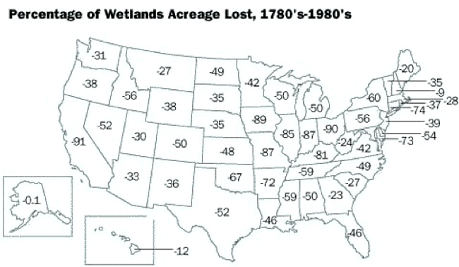 Image of a US map. All 50 states are labeled by the percentage of lost wetlands from 1780s to 1980.