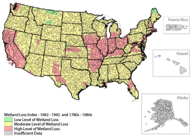 Image of a US map that is coded by the level of wetlands loss.