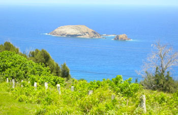 Image of a view of a body of water seen from a grassycliff. There is a small island in the middle of the water. Image of a view of a body of water seen from a grassycliff. There is a small island in the middle of the water.