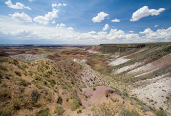 Image of a desert-mountainous area. The land is dry and there is sparse vegetation. 