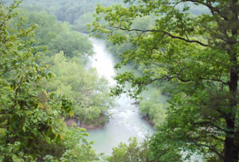 Image of a river; the view is from tree level. Large green trees line the river on both sides.