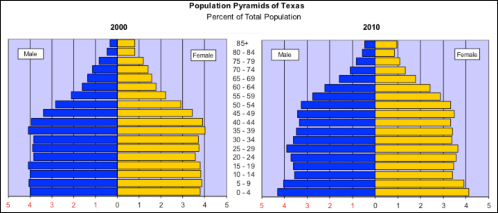 Image of a two population pyramids for Texas. The left pyramid represents 2000; the pyramid on the left represents 2010.  