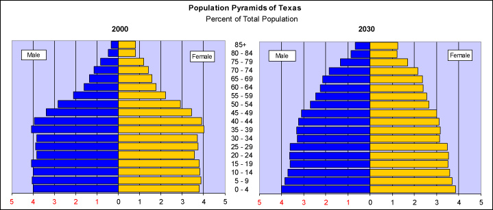 Image of a two population pyramids of Texas for the year 2000 and 2030 (projected). 