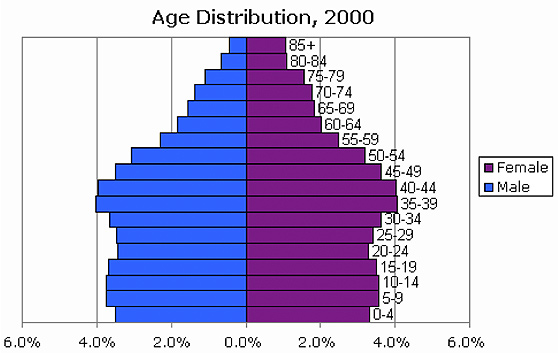 Image of a population pyramid of Age distribution for the United States in 2000.