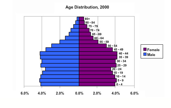 Image of a population pyramid of Age distribution for the United States in 2000.