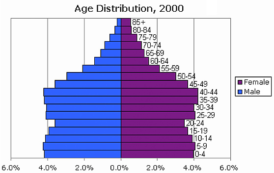 Image of a population pyramid of Age distribution for Houston, Texas in 2000.