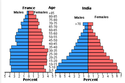 Image of two population pyramids; France is in the right and India is on the left.