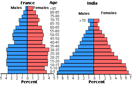 Image of two population pyramids; France is in the right and India is on the left.