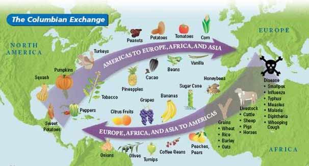 The Columbian Exchange diagram displays items that came from the Americas to Europe, Africa, and Asia and from Europe, Africa, and Asia to the Americans as a result of Columbus' exploration to the New World.