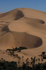 Images of sand dunes beyond an oasis of palm trees in Libya