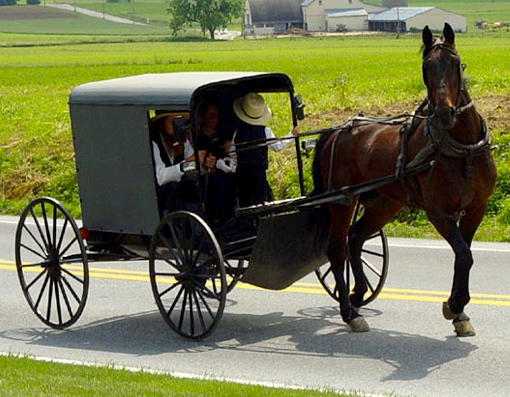 Image of a horse pulling a small carriage there is a couple seated inside and a child is standing.