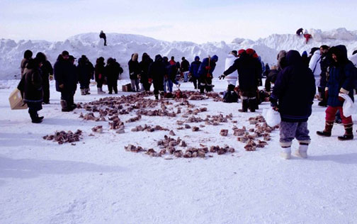 Image of an Inuit family sitting on a sleigh stacked with animal skins and other items from a hunt