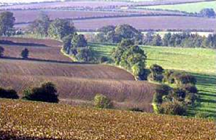 Photo of farmland that in various stages of planting; the various patches of farmland are divided by trees