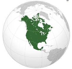 Image of a globe, where North America is shaded