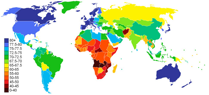 Image of world map shaded according to life expectancy rates.