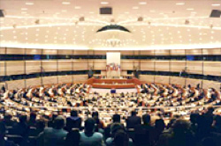 image of the inside of the European Parliament meeting room