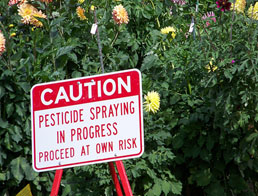 Image of a street sign that reads: “Caution: Pesticide Spraying in Progress- Proceed at Own Risk. 