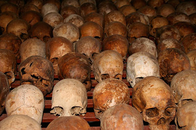 A photograph of hundreds of skulls arranged in rows.