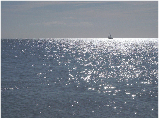 photo of sailboat on the ocean